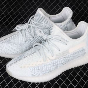 New Arrival Yeezy 350 V2 BASF FW5317