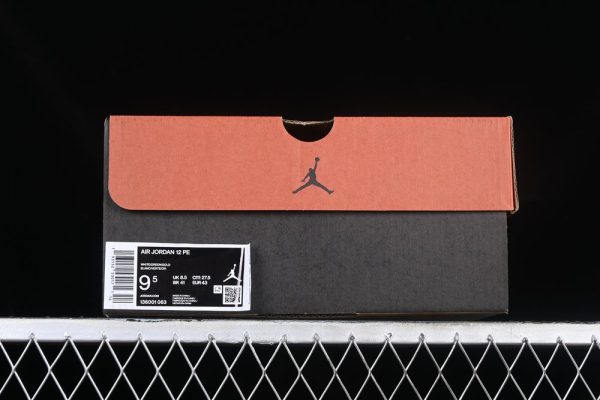 AJ 12 Retro Ray Allen 136001-063