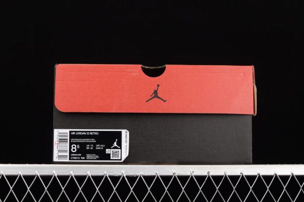 AJ 12 Retro Twist CT8013-106
