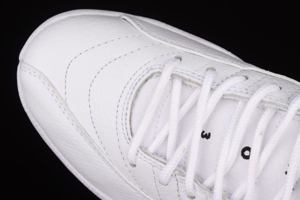 AJ 12 Retro Twist CT8013-106